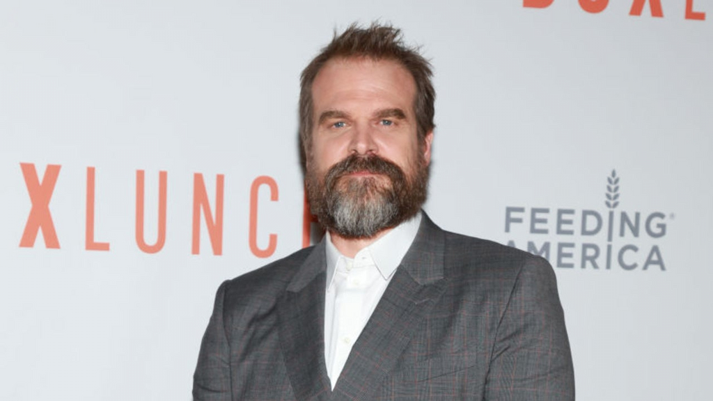 David Harbour at the BoxLunch Holiday Gala