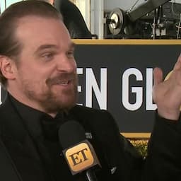 'Stranger Things' Star David Harbour to Officiate Fan's Wedding After Twitter Challenge