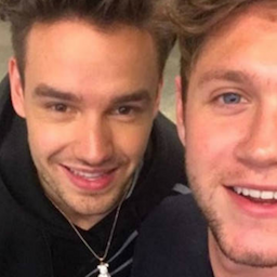 One Direction Members Liam Payne and Niall Horan Reunite at Indiana Concert