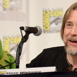 NEWS: Kermit the Frog Gets a New Voice Actor After 27 Years