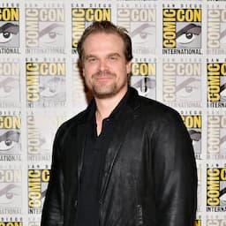 'Stranger Things' Star David Harbour Hilariously Cameos in Fan's Senior Portraits