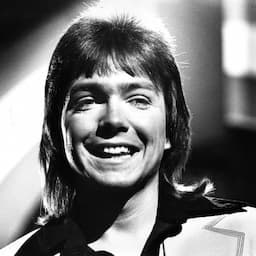 Brian Wilson, Rick Springfield and More Stars React to the Death of David Cassidy