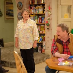 'Roseanne': Here's What All of the Returning Characters Are Up to 20 Years Later