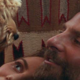Why Bradley Cooper's Dog Charlie Is the Real Scene-Stealer of 'A Star is Born' (Exclusive)