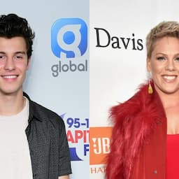 Shawn Mendes, Pink and More to Perform at 2019 MusiCares Person of the Year Tribute