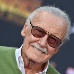 Stan Lee's Ex-Business Manager Charged With Elder Abuse 