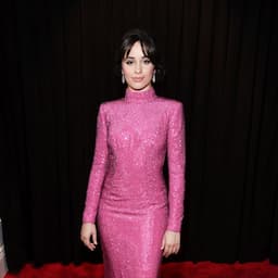 Camila Cabello Turns Heads in Sparkling Pink Dress at 2019 GRAMMY Awards