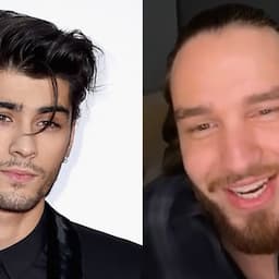 Liam Payne Posts TikTok of One Direction's 'Meeting' After Zayn Quit