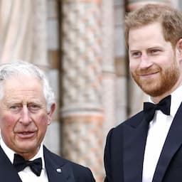 King Charles 'Desperately Wants to Reconcile' With Prince Harry