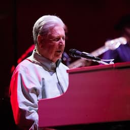 Brian Wilson's Family Pursues Conservatorship Following Wife's Death