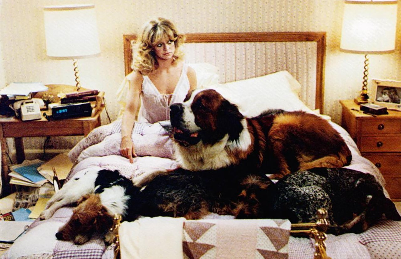 Exclusive Amy Schumers Guide To 5 Essential Goldie Hawn Movies To 