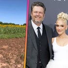 Blake Shelton Puts Gwen Stefani to Work in Their Massive Flower Field