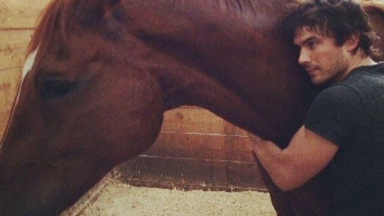Ian Somerhalder and Nikki Reed Got a Horse Entertainment Tonight