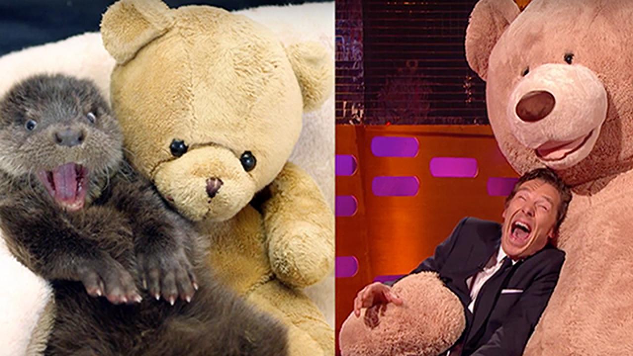 Benedict Cumberbatch Otter Graham Norton Show