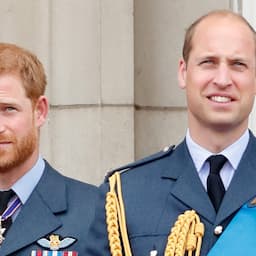 Prince Harry & Prince William's Relationship Isn't 'Where It Once Was'