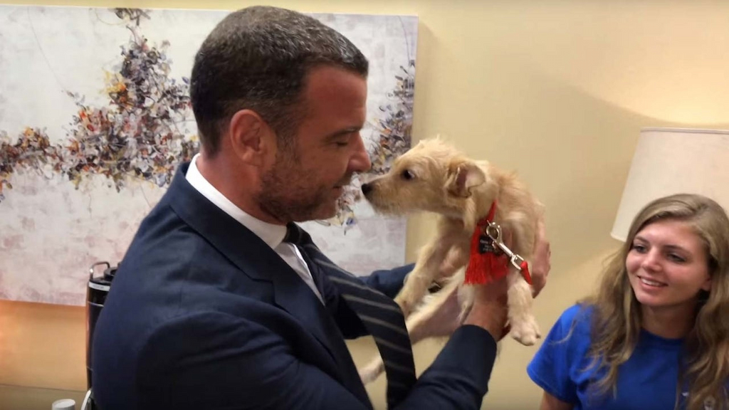 Liev Schreiber With Dogs Rescued From Hurricane Harvey