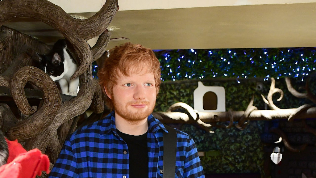 The new Madame Tussauds figure of Ed Sheeran is unveiled at Lady Dinah's Cat Emporium in London.