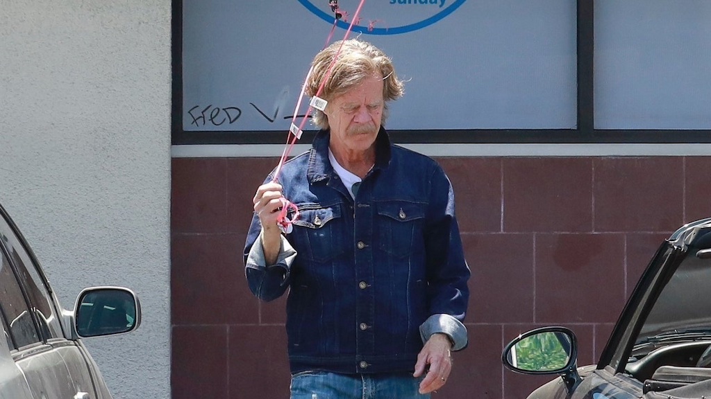 William H. Macy spotted gearing up for a graduation celebration while picking up balloons and a cake in Weho.