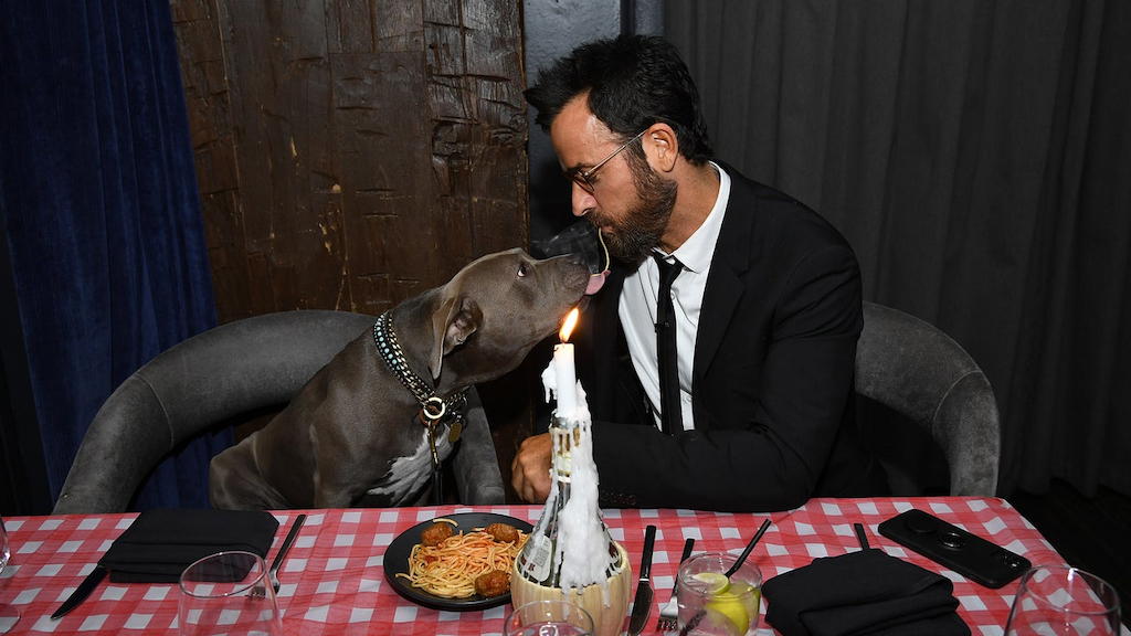 Justin Theroux at Disney+'s "Lady and the Tramp" screening