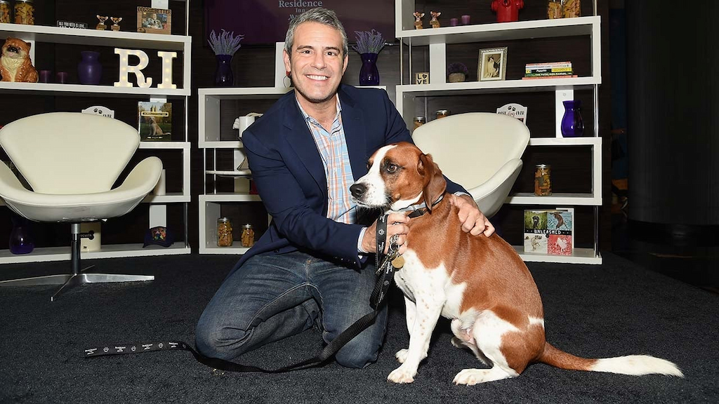 Andy Cohen poses with his dog Wacha at the Residence Inn by Marriott and North Shore Animal League America "Dog Days Of Summer" adoption event on August 10, 2017 in New York City.