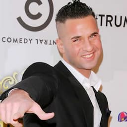 Mike 'The Situation' Sorrentino Pleads Guilty to Tax Evasion