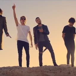 One Direction Parties With Danny DeVito in 'Steal My Girl' Music Video!