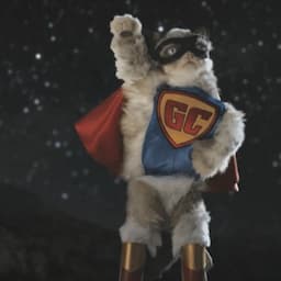 Grumpy Cat Makes Her Movie Debut, Gets a Stunt Double