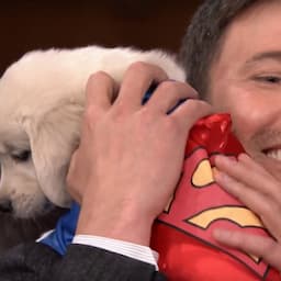 WATCH: Ben Affleck and Jimmy Fallon Cuddle With Adorable Superhero Puppies on 'Tonight Show'