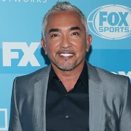 Cesar Millan Cleared of Animal Cruelty Charges Following Investigation