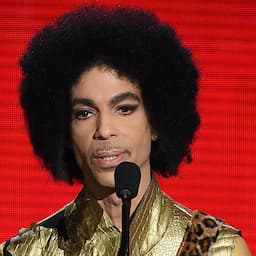 Prince's 6 Siblings Named Heirs to Singer's Estate, Judge Rules