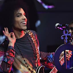 Prince Unsealed Search Warrant Reveals Bottles of Opioid Painkillers Found in Friend's Name