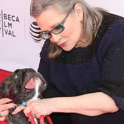 RELATED: Gary the Dog's Tweets After Carrie Fisher and Debbie Reynolds' Deaths Are Heartbreaking