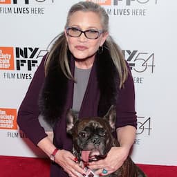 Carrie Fisher Honored By Brother Todd and Beloved Dog Gary at 'Last Jedi' TCL Chinese Theatre Opening