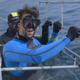 Michael Phelps Gets 'Up Close and Personal' With a Toothy Great White in 'Shark Week' Sneak Peeks -- Watch!