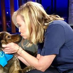 MORE: Chelsea Handler's Beloved Dog Tammy Dies: 'We Will Miss You Dearly'
