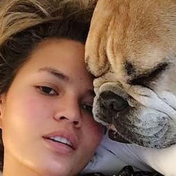 RELATED: Chrissy Teigen Takes Dog Puddy to Emergency Vet After He Suffers From Heart Failure