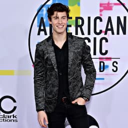 Shawn Mendes' Sweet New Snap With Hailey Baldwin Fuels Dating Rumors -- See the Pic!