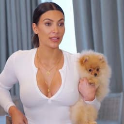 'KUWTK': Kim Kardashian Turns to Dog Whisperer Cesar Millan for Help Training Her Adorable Puppy