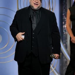 Guillermo del Toro Wins Best Director at Golden Globes After Natalie Portman Calls Out 'All-Male Nominees'
