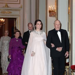 Pregnant Kate Middleton Steals the Show in Gorgeous Pink Cape Gown: Pics!