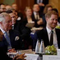 Prince Harry Kicks Off Valentine's Day Promoting Environmental Health With Dad Prince Charles
