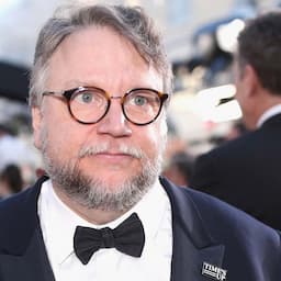 Director Guillermo Del Toro Announces Divorce Days After Oscars Wins for 'The Shape of Water'