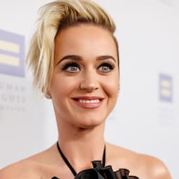 Katy Perry's Assistant Saved Her Dog Nugget's Life