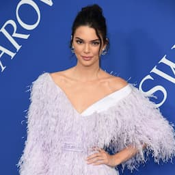 Kendall Jenner Compares Her CFDA Fashion Awards Look to a Flamingo -- Pics!