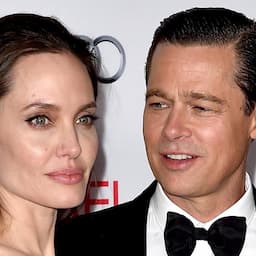 Angelina Jolie and Brad Pitt Have Reached an Interim Custody Arrangement (Exclusive)