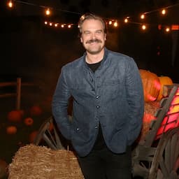 'Stranger Things' Star David Harbour Officiates Fan's Wedding -- See the Epic Ceremony Pic