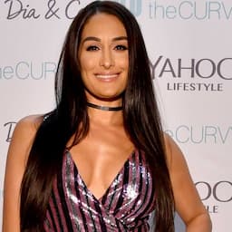 Nikki Bella Wants to Buy a Ferrari and Her Sister Thinks She's Having a 'Midlife Crisis'
