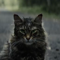 Jason Clarke and John Lithgow Wake the Dead in Spooky First Trailer for 'Pet Sematary'