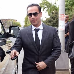 'Jersey Shore' Star Mike Sorrentino Sentenced to 8 Months in Prison for Tax Evasion