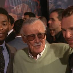 Stan Lee Dead at 95: Celebrities React 